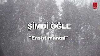 Senai Demirci "ŞİMDİ ÖĞLE" ENSTRÜMANTAL ( Fon Müziği )