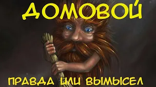 Домовой. Правда или вымысел???