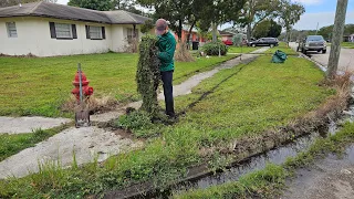 Neighbors Stop To Tell Me What They Think of OVERGROWN Lawn Transformation | SIDEWALKS UNUSABLE!