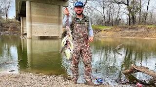 Crappie Fishing From The Bank {Catch Clean Cook} They Were STACKED