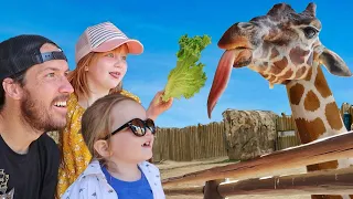 FEEDiNG ZOO ANiMALS!!  Adley & Niko feed a Giraffe, a Rhino, and do a vet morning check up routine!