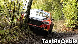 🇪🇺 WRC Central European Rally 2023 - Mistakes - Max Attack & Super Rally Fans by ToutAuCable