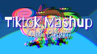 TikTok Mashup (not clean) Part 4