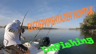 ЕКСПЕРИМЕНТАЛЕН МОНТАЖ !!! Див Дунавски ШАРАН! Wild carp fishing! Danube RIVER carp fishing !!!