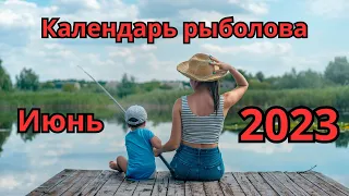 Календарь рыболова на Июнь 2023