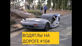 ВОДЯТЛЫ НА ДОРОГЕ    #104