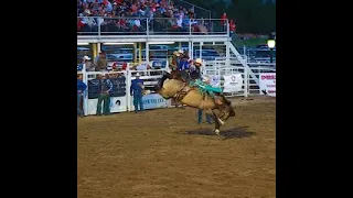 VINTAGE PRCA OAKLEY RODEO 🤠 SADDLE BRONC RIDES #trending #viral #shorts #prorodeo.org