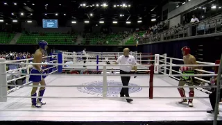 Eljan Alkishiyev v Valerii Ivanov WAKO European Championships 2019