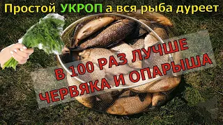 Клюет в 10 Раз Лучше червя и опарыша! ОТ НЕЁ ДУРЕЕТ ВСЯ РЫБА! Рыболовная насадка для карася.карп.лещ