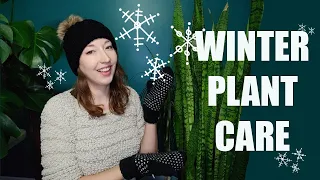 WINTER PLANT CARE TIPS - How to keep house plants alive over the winter season.