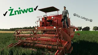 ✔️ ŻNIWA NA POLSKIEJ WSI 🔥 BIZON  & URSUS 😁 FS19 🔥