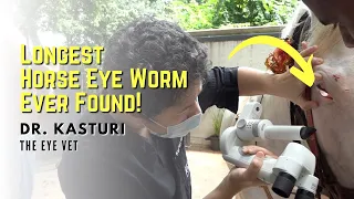 Eye Worm in a Horse | Dr. Kasturi | The Eye Vet - Episode 01