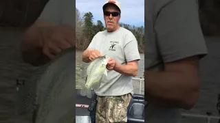 Tennessee River crappie fishing