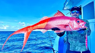 JACKPOT IKAN ISTIMEWA !!! PULAU BUTONG-BUTONGAN