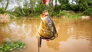 I Caught A REAL LIFE RIVER MONSTER!!! (150+ Pounds)