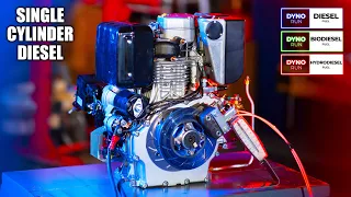 Single Cylinder Diesel Engine - Dyno Test (Diesel, BioDiesel & HydroDiesel How Much HP?)