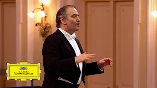 Mariinsky Orchestra & Valery Gergiev – Prokofiev: Symphony No. 1 'Classical': IV. Finale (excerpt)