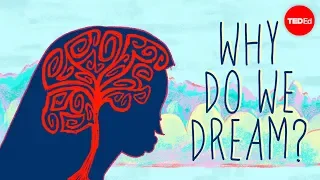 Why do we dream? - Amy Adkins