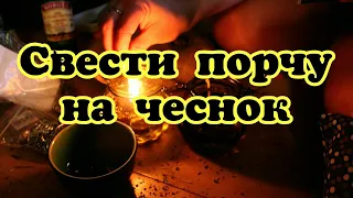 СВЕСТИ ПОРЧУ НА ЧЕСНОК