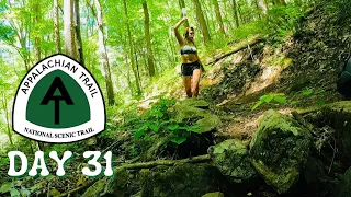 Day 31 | You Can Get Pizza Delivered To This Shelter | Appalachian Trail Thru Hike 2021