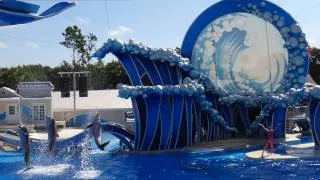 Blue Horizons (Full Show) SeaWorld Orlando