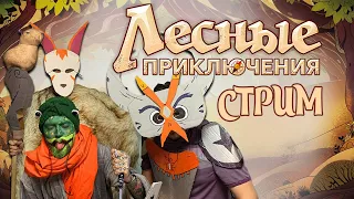 Играем в "Лесные приключения" | Explorers of the Woodlands