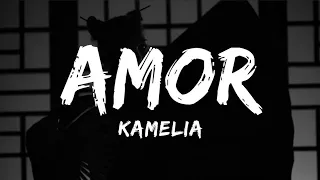 Kamelia - Amor (Official Video with Lyrics / Letra)