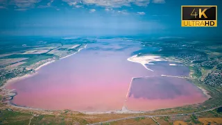 Kuyalnitsky estuary turned pink Odessa 2021