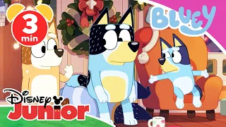 🎄💙 Bluey - Clip: Der Veranda-Mann | Disney Junior