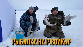 Рыбалка на реке Войкар