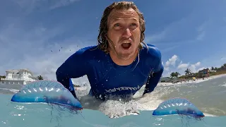 Surfing in MAN-O-WAR Jellyfish Infested Waters