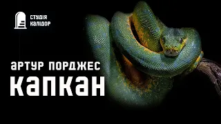 "Капкан" Артур Порджес #аудіокнигиукраїнською #трилер #детектив #хічкок #химерне #книги #пригоди