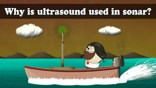 Why is ultrasound used in sonar? | #aumsum #kids #science #education #children
