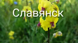 Славянск 9 Июля 2022 год