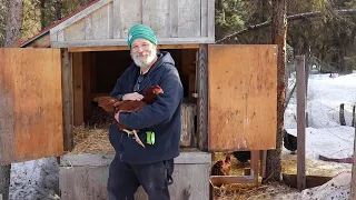 SPRING in Alaska already? time for some cleanup!