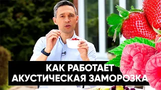 Как работает АКУСТИЧЕСКАЯ заморозка?