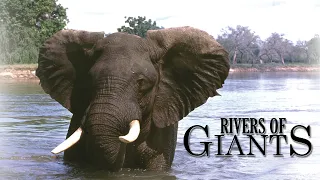 Rivers of Giants   - Teaser Trailer