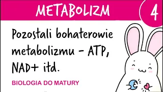 Metabolizm 4 - Pozostali bohaterowie metabolizmu (ATP, NADP, NAD, FAD) - biologia matura rozszerzona