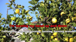 Lemon Tree  (Official Karaoke Version with lyrics)