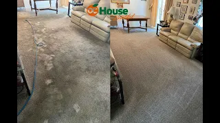 Carpet cleaning of a rat nasty carpet!