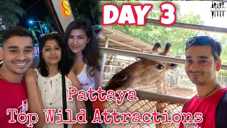 The Million Years Stone Park & Pattaya Crocodile Farm ⭐Day 3⭐ Zoo in Pattaya, Thailand