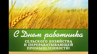 День работников сельского хозяйства. Праздничный концерт