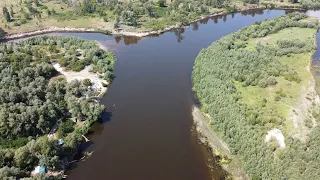 Десна весной. Плотва, густера, чехонь, рыбец, голавль, белоглазка.  Фидерный  монтаж от VALIKOS