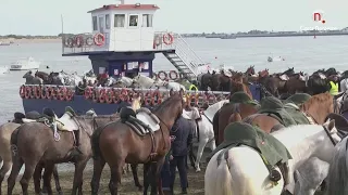 Contigo: Reportaje Peregrinación al Rocío de San José