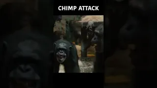 Terrifying Chimp Attack! | #SHORTS | Nature Bites