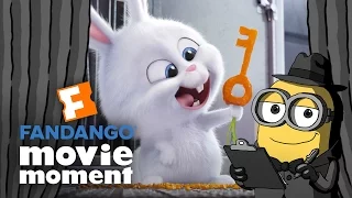 Brian the Minion watches The Secret Life of Pets - Fandango Movie Moment (2016)