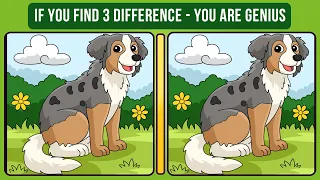 If You Find 3 Difference - You are GENIUS | Spot Difference | Brain Game