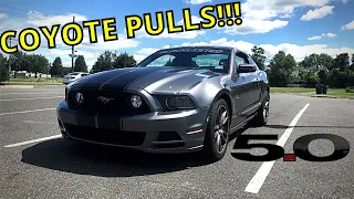 2014 Mustang GT Premium Review - COYOTE PULLS are AWESOME!!!