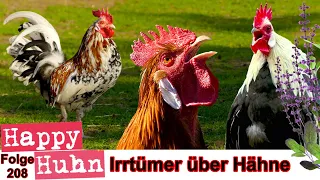 E208 Häufige Irrtümer über Hähne - Happy Huhn - Warum krähen Hähne? Vorteile von aggressiven Hähnen