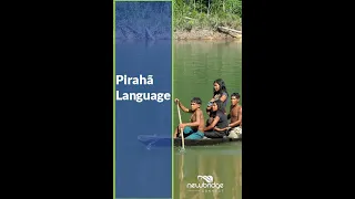 Languages of The World, Episode Eight: Piraha-A language with no words for numbers or colors